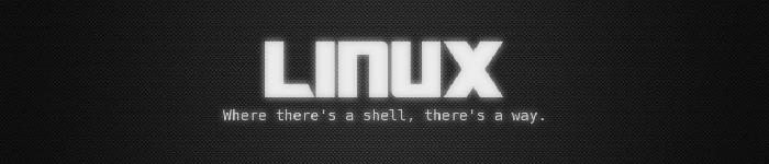 是否双引导 Linux 系统的理由