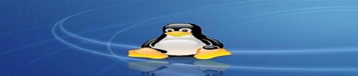 五款最佳Linux下载管理器推荐