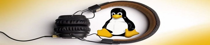 推荐5 款好用的 Linux 音乐播放器