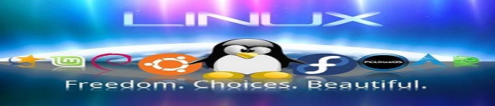 在Linux环境下如何使用XFS文件系统