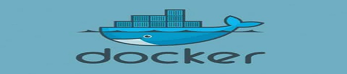 Docker 中Go应用的配置使用