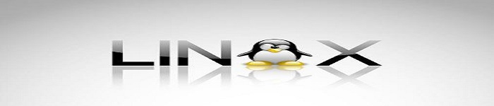 Linux Bash 提示符的一些骚操作