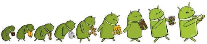 Android版本这么多，哪个使用比例最高?