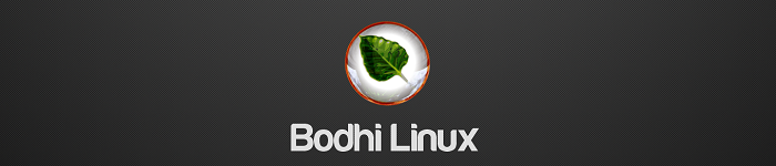 Bodhi Linux 4.4发布：使用Linux Kernel 4.13