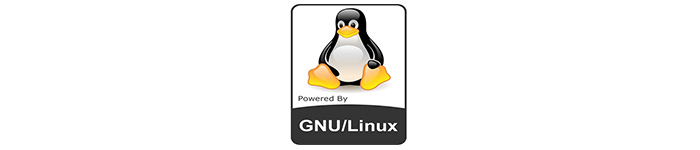 Linux Kernel 更新，网络性能大幅提高