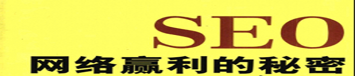 《SEO网络赢利的秘密：我是怎样通过网络挣到100万的》pdf电子书免费下载