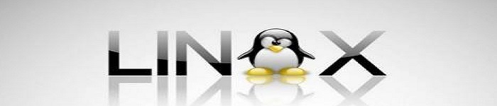 教你获取 Linux 中的目录大小的方法