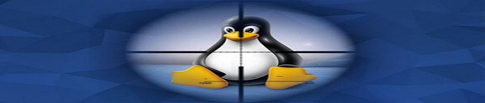 你了解哪些Linux不为人知的内幕