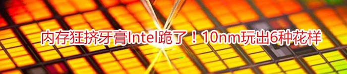 内存狂挤牙膏Intel跪了！10nm玩出6种花样