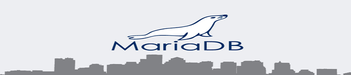 破解 MariaDB5.5 数据库的 root 登录密码