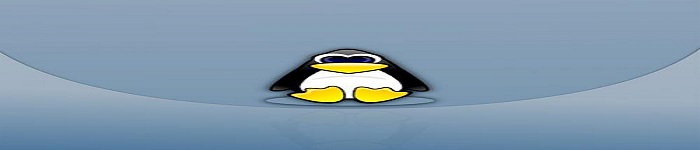 Linux用户行为分析