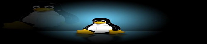 Linux零拷贝技术浅析