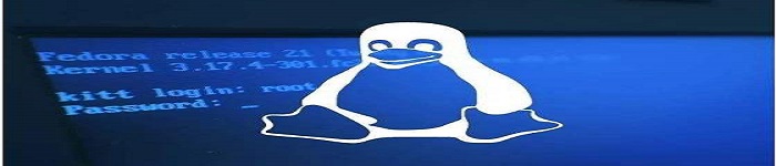 Linux 5.10 内核将是LTS版本