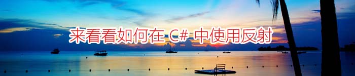 来看看如何在 C# 中使用反射