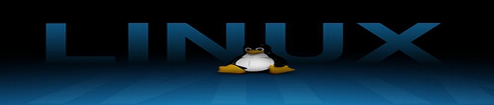 介绍一下linux系统 tee 命令