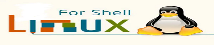 Linux shell脚本判断服务器网络是否可以上网