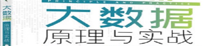 《大数据原理与实战图文详解》pdf电子书免费下载