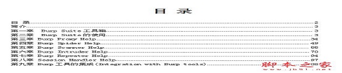 《BurpSuite中文教程》pdf电子书免费下载