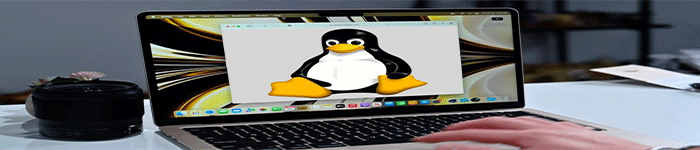 最新发布的Linux 5.19比以往有更多的苹果元素