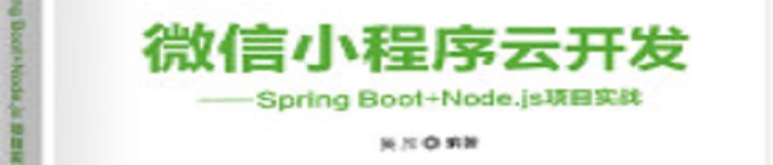 《微信小程序云开发：Spring Boot+Node.js项目实战》pdf电子书免费下载