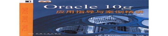 《Oracle 10q应用指导与案例精讲》pdf版电子书免费下载