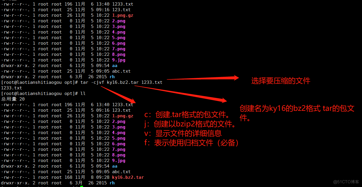 掌握Linux文件命令大全，轻松搞定文件操作！