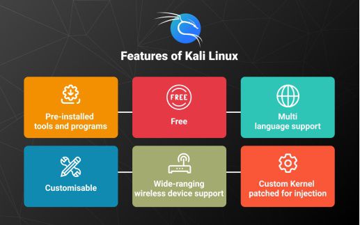 KaliLinux 上部署 deb 文件的详细操作指南