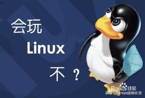 深入了解 Linux：从内核到系统目录结构的全面指南