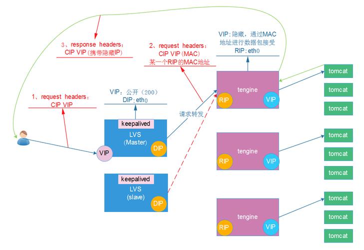 深入探讨CentOS系统中的yum与tengine：软件管理与Web服务优化