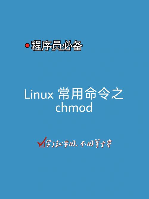 命令启动jar包_linux启动nginx命令_命令启动项