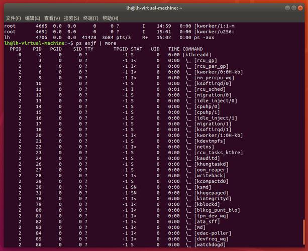 深入解析Linux内核版本号标识及其在开发中的重要性