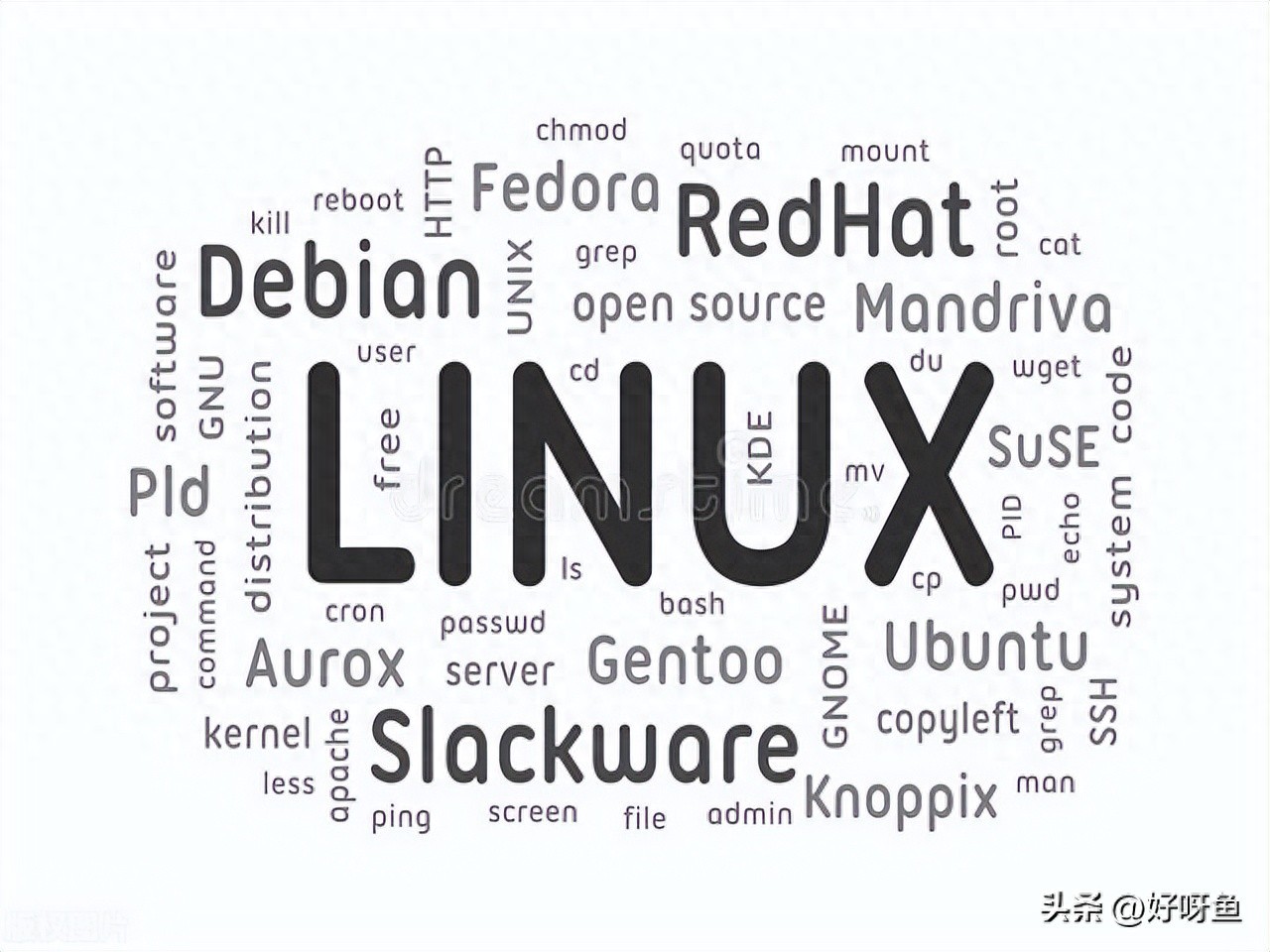 深入解析Linux终端字符与目录结构：提升Linux操作效率的关键