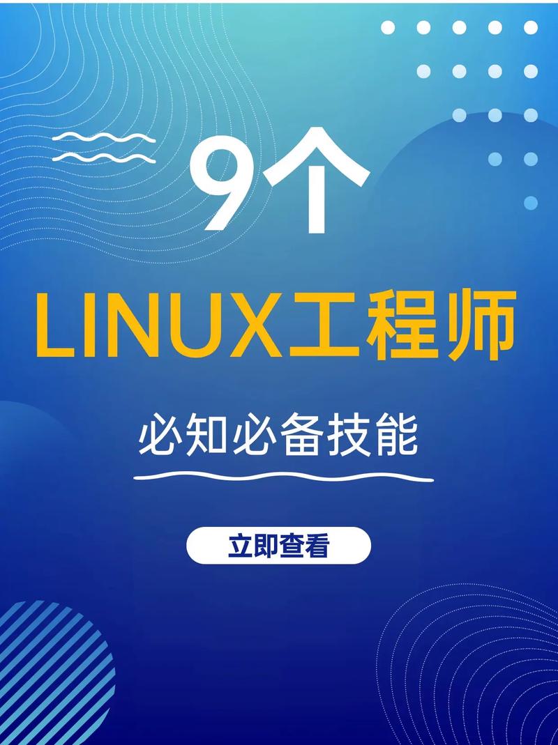 资深IT工程师分享：如何在Linux系统中查看版本详情的实用技巧