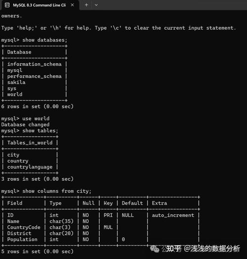 Linux系统中安装MySQL的详细步骤与注意事项：从下载到安装完整指南