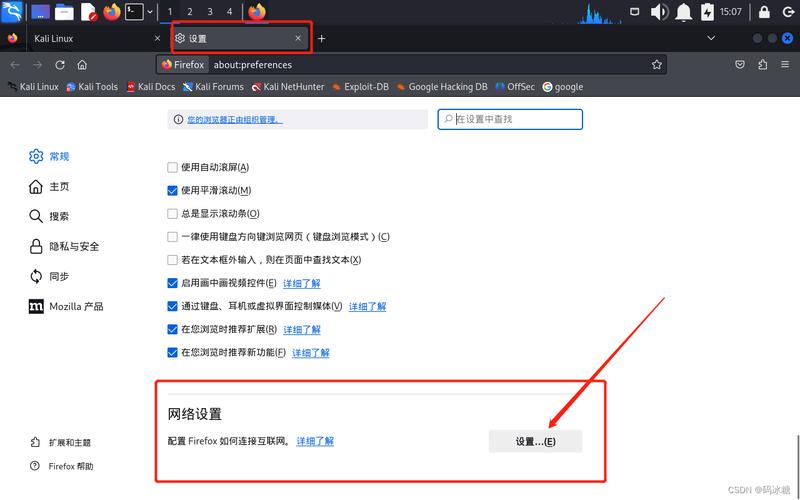 如何在Kali Linux上安装Chrome浏览器：详细步骤与系统准备指南