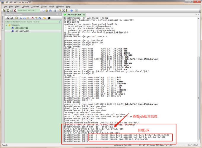 Linux系统下查看JDK版本的多种方法及操作指南