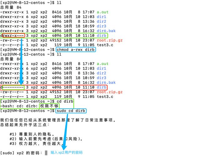 Linux系统用户权限分配与管理：根用户与普通用户权限差异详解