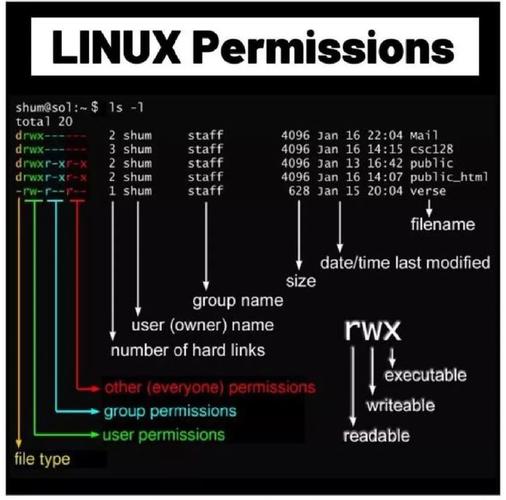 linux用户权限分配_linux给用户分配权限_linux为用户组分配权限