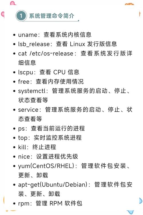 linux shell命令 掌握Linux Shell基础命令：从ls到cd，提高工作效率与系统理解