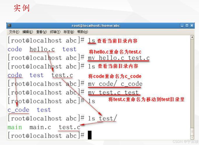 Linux操作系统基础命令详解：ls、cd、cp等实用指令助你高效管理系统