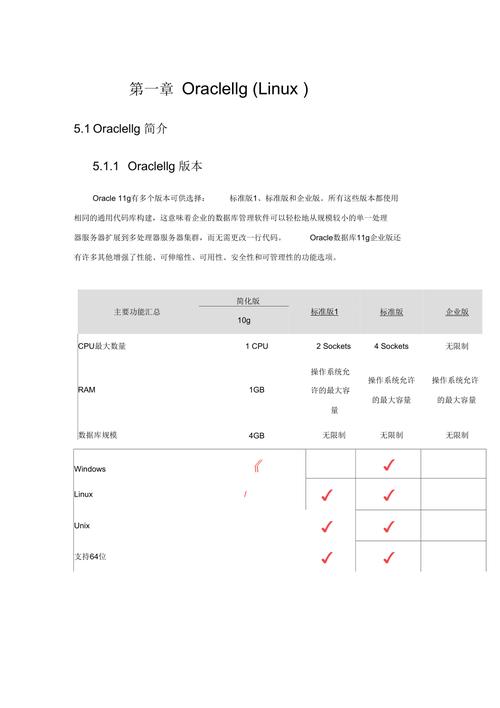 Linux系统与Oracle11g数据库结合应用：安装步骤与系统要求详解