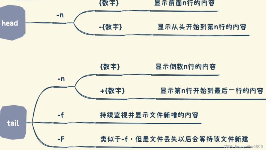 linux命令中的head命令_命令中结构最简单的是_命令中各短语没有固定顺序