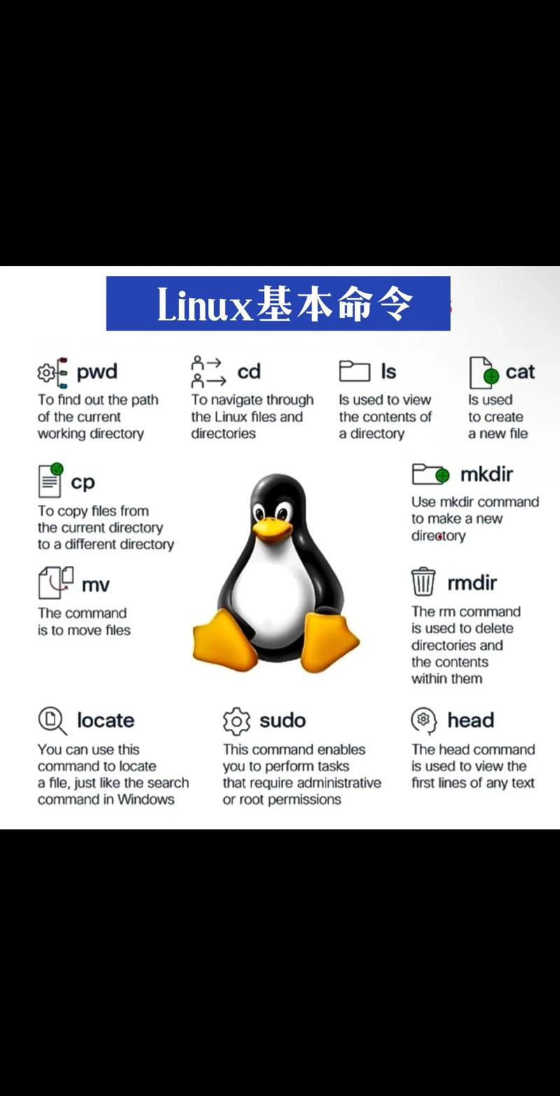 linux查看ssh版本命令_命令行查看linux版本_查看linux版本命令的是