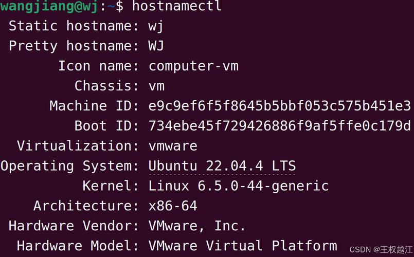 Linux系统中查看版本的重要性及详细查看方法