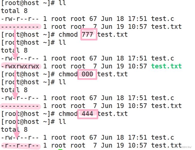 Linux系统中超级用户（root）权限详解：掌握核心管理与配置